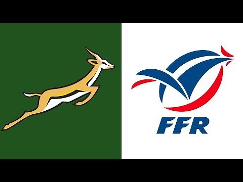 Rugby Test Match - Springboks vs France 3 July 1993
