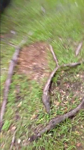 2004 Ford explore 4.0 start problems turns on then off