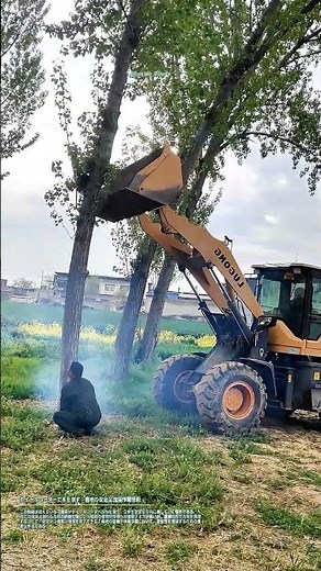 ホイールローダーで木を倒す：農地の安全な伐採作業技術