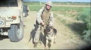 Soldier Dog Sgt. Rex Retires