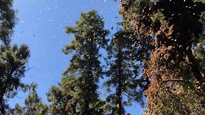 36 reactions · 3 comments | TODAY at 1 pm MT: Take a virtual journey...