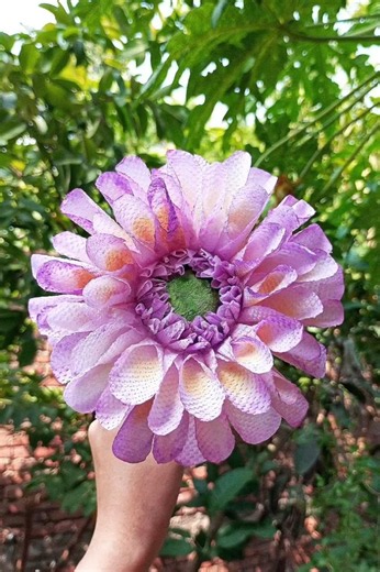 How to make dahlia flower with tissue paper| Diy paper flower making | #shorts #viral #craft #diy