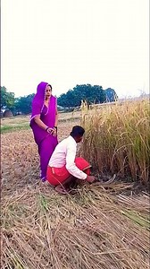 जल्दी चलो कोई देख नहीं रहा #राय सिताराकॉमेडी#shorts