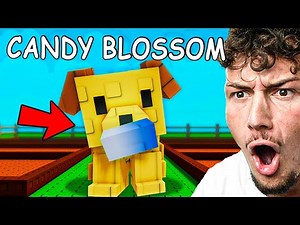 Musím Používat Pouze Seedy Co Vykope Labrador v Grow a Garden!