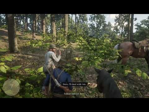 RDR2 Playthrough | Robbing a Homestead with Sean