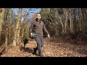 Wildlife Photography: Best Camera Settings for Walking Around (Walk & Shoot/Opportunistic Style)