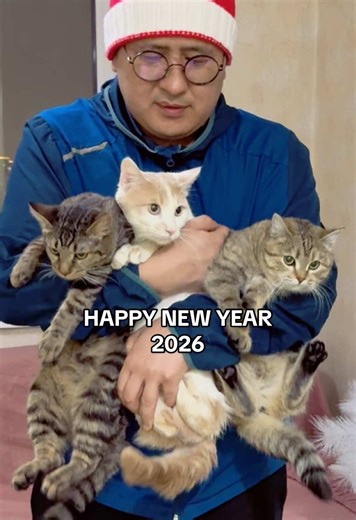 Вот и подошел к концу 2025 год. Многое в этом году было сделано, многое мы не успели сделать. Хочется чтоб Новый 2026 год принёс всем исполнения самых сокровенных желаний. Мое желание вы все знаете - пусть все бездомные пушистики обретут свой дом и ответственных хозяев. Всех с наступающим праздником 🎄🎊❤️ #cat #newyear #pet
