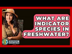 What Are Indicator Species In Freshwater? - Ecosystem Essentials