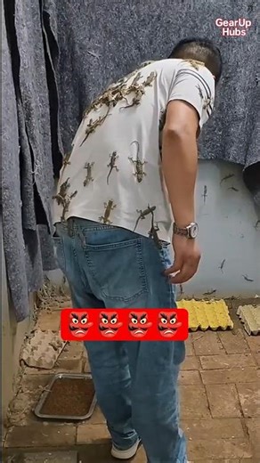 😱 Man Surrounded by Hundreds of Lizards – Unbelievable Scene! #shorts