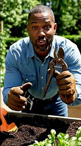 Best vs Worst Gardening Tools for Beginners.