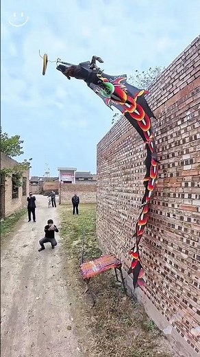 Dogs Trained to Jump Crazy High! #shorts #dog #puppy #doglover #pets