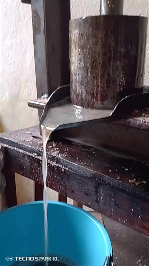 Videos de luis (@luisjose.sal) con “sonido original - luis”