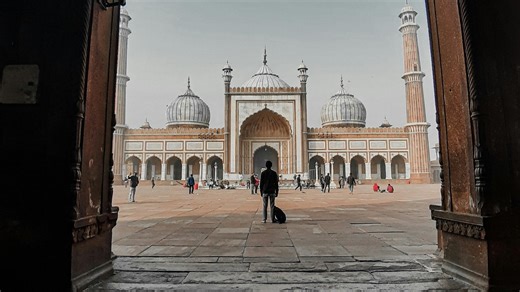 Tamil Nadu man visits North India, his candid review of Delhi and Agra goes viral