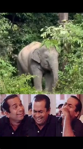 meme dumpyard | 😂😂 | Instagram