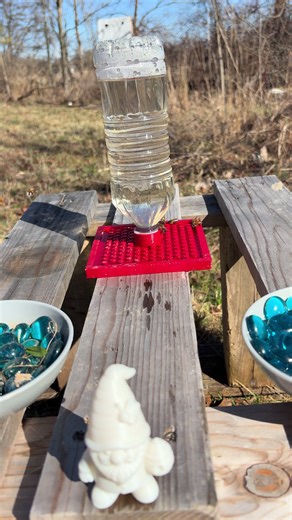 The bees found the feeding station today! 🐝🍯 Early in the season a little extra feed helps the hive build strength for spring. Amazing watching them line up for a drink! Follow JT’s Bees for more relaxing bee moments and life in the hive. 🌼🐝 #Bees #HoneyBees #Beekeeping #BeeTok #beekeepersoftiktok