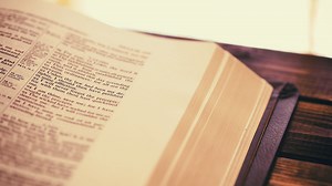 茨城の企業法務に強い弁護士｜長瀬総合法律事務所（茨城県弁護士会所属）