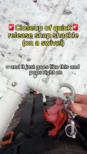 Closeup of 🚨quick release snap shackle🚨 (on a swivel, not fixed) that I use in an emergency to disconnect from the skijor shafts and the ponies. The snap can be picked up anywhere and the harness is from @Non-stop dogwear and I love it!! 🙌🦄🎿❄️❣️ #alchemyacres #skijoring #minihorses #minihorseskijoring #skijor #skijorme #wintersports #horseskijor #minihorsesoftiktok #horsegirl #miniaturehorsesquad #horsepower #emergencydismount
