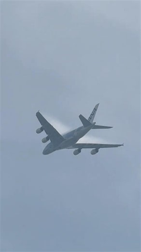 【航空機】フライングホヌ・ラニからベイパーが❗️成田国際空港 RWY16R 着陸