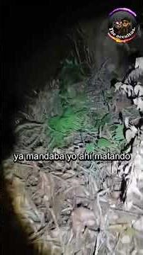 Video respuesta #leyendas #paranormal #misterio #horror
