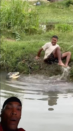 🦎 The Funny Crocodile Prank That Made Everyone Lose It! 😂 #humor #prank #reaction