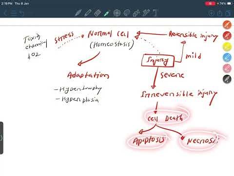 Introduction To Pathology | General Pathology