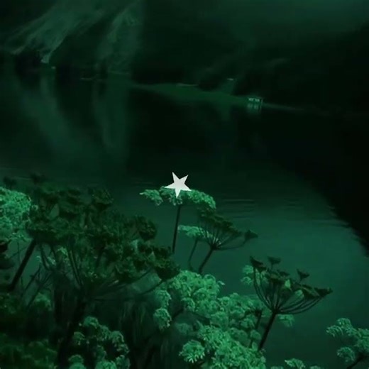 & The Theme is Green 🍀 #botalixisonamission