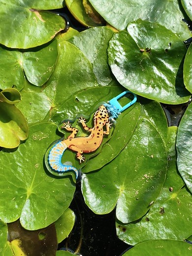 Leopard Gecko | Keychain - Etsy