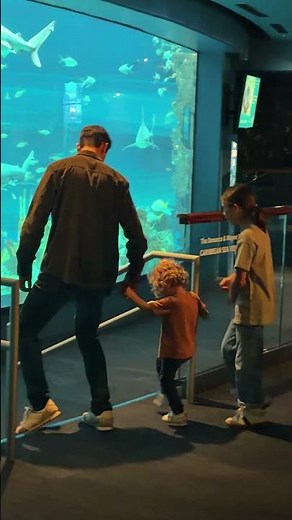 Texas State Aquarium Adventure with the Walton Family