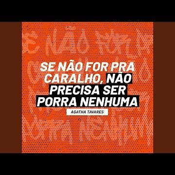 Se Não For pra Caralho, Não Precisa Ser Porra Nenhuma