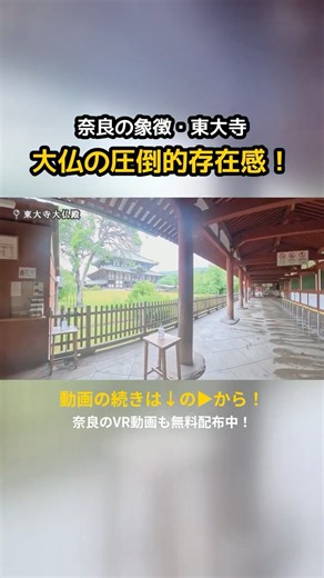 【奈良】奈良の象徴・東大寺 大仏の圧倒的存在感