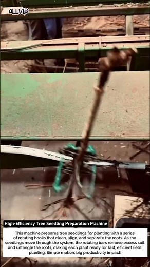 High-Efficiency Tree Seedling Preparation Machine