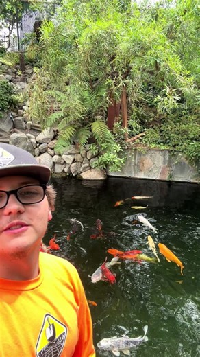 Behind the scenes on The Pond Digger Maintenance Route with Mark Vamder Woude. Check out the underground Life Support System 30’ away from the gorgeous dedticated koi pond. Drop your questions in the comment section. #theponddigger #pondmaintenance #koipond #pond #koi #redlands #pondservice