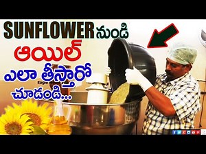 Natural Making of Sunflower oil | Eagle Media Works