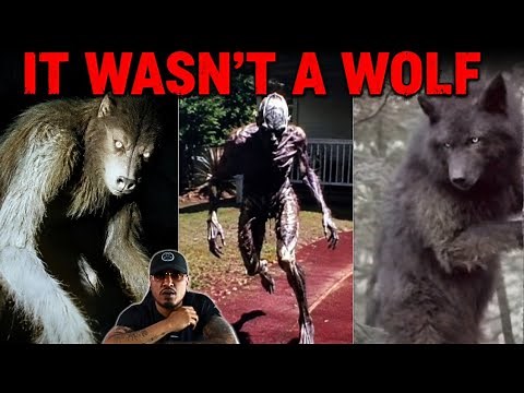Mountain Nightmares Caught on Camera