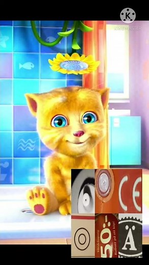 ZXCVBNM LKJHGFDSA QWERTYUIOP talking ginger