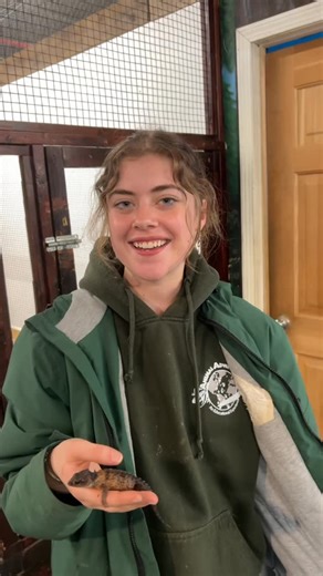 Animal Adventures on Instagram: "Some fun facts about Toothless!"