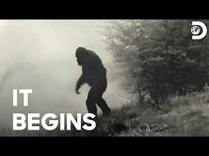 The Dangerous Woodland Hunt Begins | Expedition Bigfoot S1 | Discovery Channel India