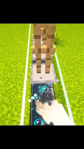 Minecraft : ENDER DRAGON #minecraft #memes #shorts