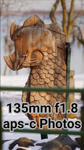 135mm Photos using aps-c mode + f1.8 aperture & Vivid "Creative Look" (a7S3 FX3* ZV-E1*) #primelens