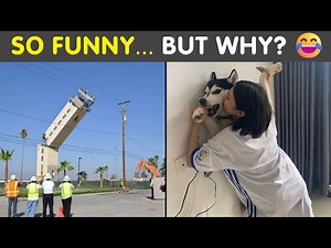 Hilarious Images That Are Somehow Both Blessed And Cursed 😅✨