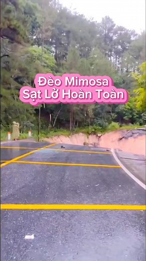 Khẩn Cấp! Đèo Mimosa Đã Sạt Lỡ Hoàn Toàn 😱 #shortvideo #tintuc #dalat #vietnam #lulutmientrung