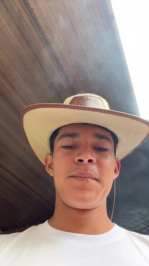 Rural Life Insights: A Day on the Farm