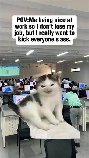 Relatable Work Life Memes You Can't Miss