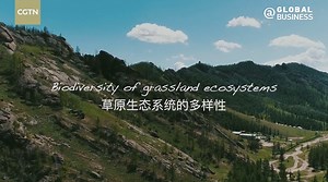 The grassland ecosystem is a huge "biological bank" that provides us humans with food, meat, vegetables and other items. It is also a natural #carbondioxide "storage tank." Carbon sequestration by grasslands is regarded as one of the most promising ways to alleviate global warming. CGTN interviewed Professor Bai Yongfei of the Chinese Academy of Sciences to understand the value of these grasslands. CGTN Global Business | CGTN