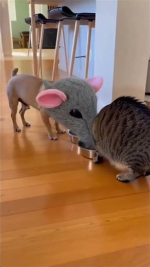 INCREÍBLE. 🔥 El verdadero poder del marketing digital está en la capacidad de iterar...