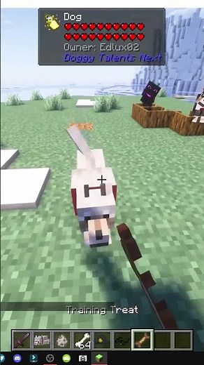 Wie man mit Dogg Tenders Hunde in Minecraft bekommt (Nächstes Thema)