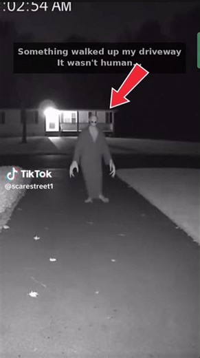 not scared fake alien #trending #shortsviral #scare