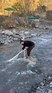 net fishing like a pro__ Watch the catch #catchingfish #nature #fishinglife | Net Fishing with Hamza