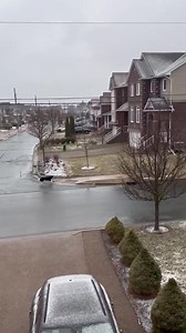 8.7K views · 31 reactions | SIGHTED: Roaming Dog: Bedford/ area of 105 Windridge Ln./ Halifax County SEX UNKNOWN: Border Collie, adult, black and white coat. Sighted roaming on March 26/23. Please cross post and if you have any information contact Animal Control at 311 press 5. MAP: https://goo.gl/maps/Wq6U9zTxdZPND8iz7 | Nova Scotia Lost Dog Network | Facebook