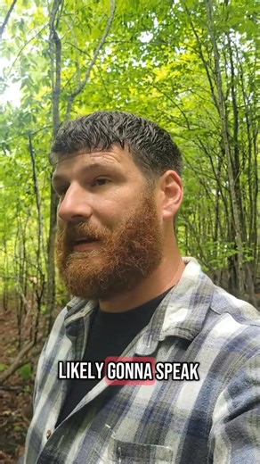 295K views · 13K reactions | I hope this answers your questions if buying land like this is legit  Call landstruck.com for any further questions #offgridlife #homesteading #landforsale #offgridliving #countrylife #offgrid #ownerfinance | Off Grid & Growing | Facebook